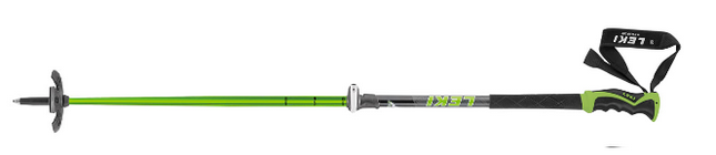 telescopic ski poles