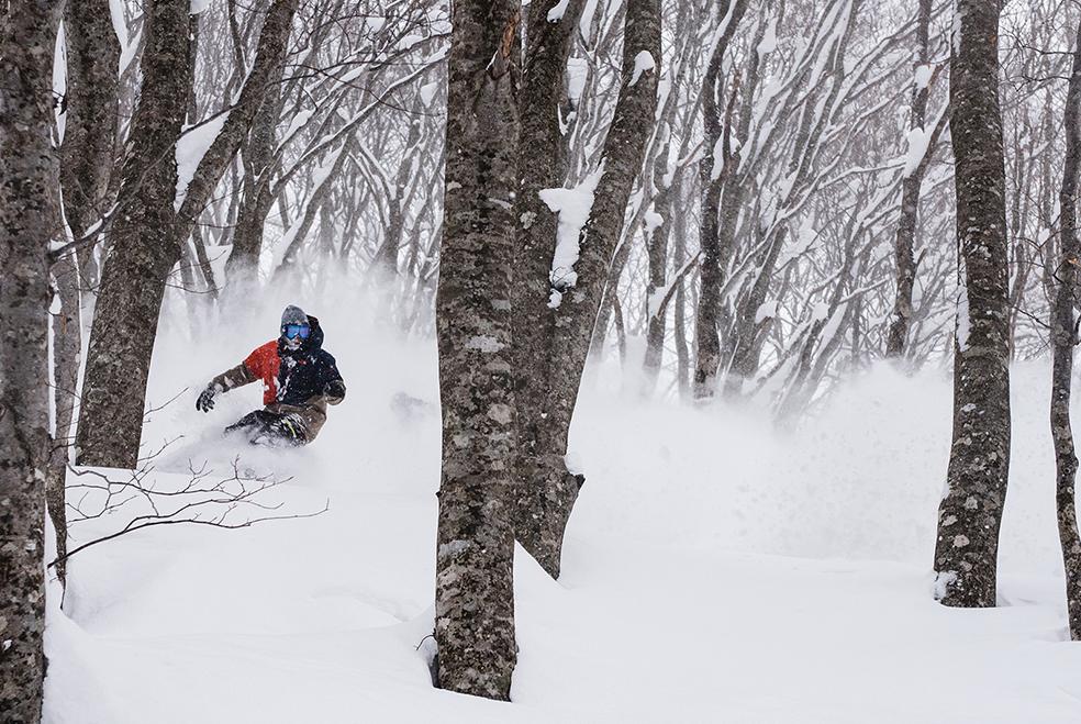 Freeride Snowboard