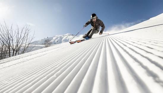 Esquí / Snowboard - Cómo elegir una funda para esquís y tablas de