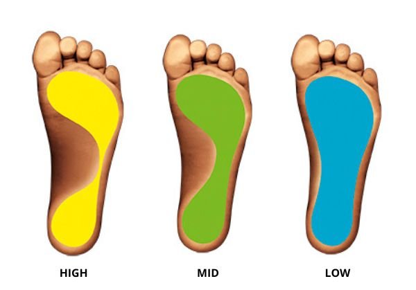morfología del pie