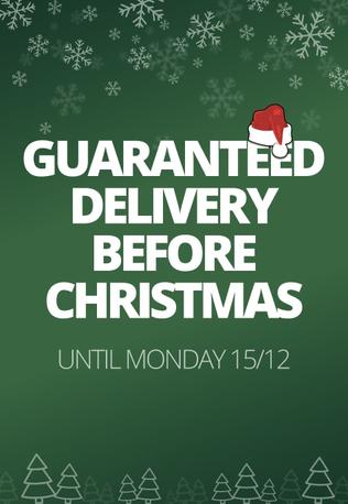 LIVRAISON GARANTIE AVANT NOËL