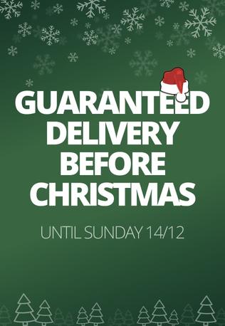 LIVRAISON GARANTIE AVANT NOËL