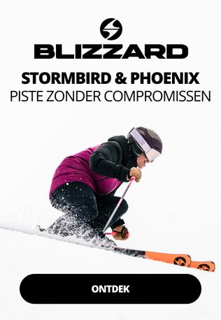 Blizzard Stormbird Phoenix