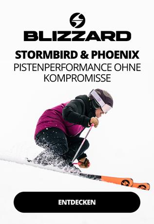 Blizzard Stormbird Phoenix