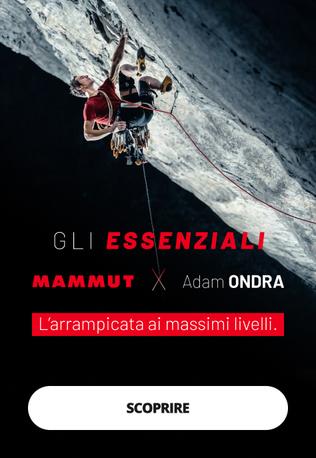 Mammut