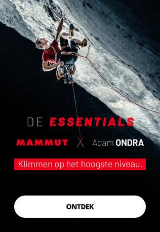Mammut