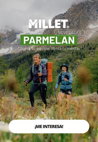Millet