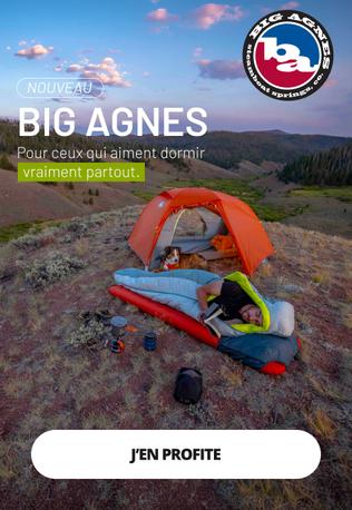 BIG AGNES BIG AGNES