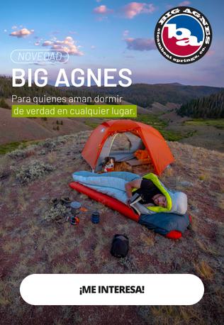 BIG AGNES
