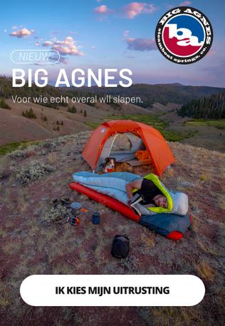 BIG AGNES BIG AGNES
