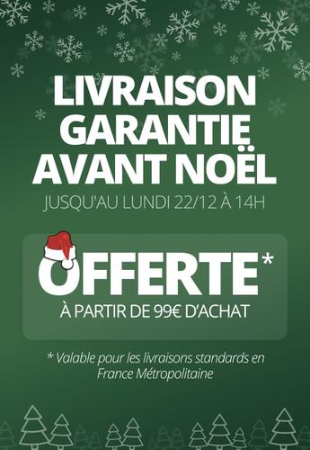 LIVRAISON GARANTIE AVANT NOËL