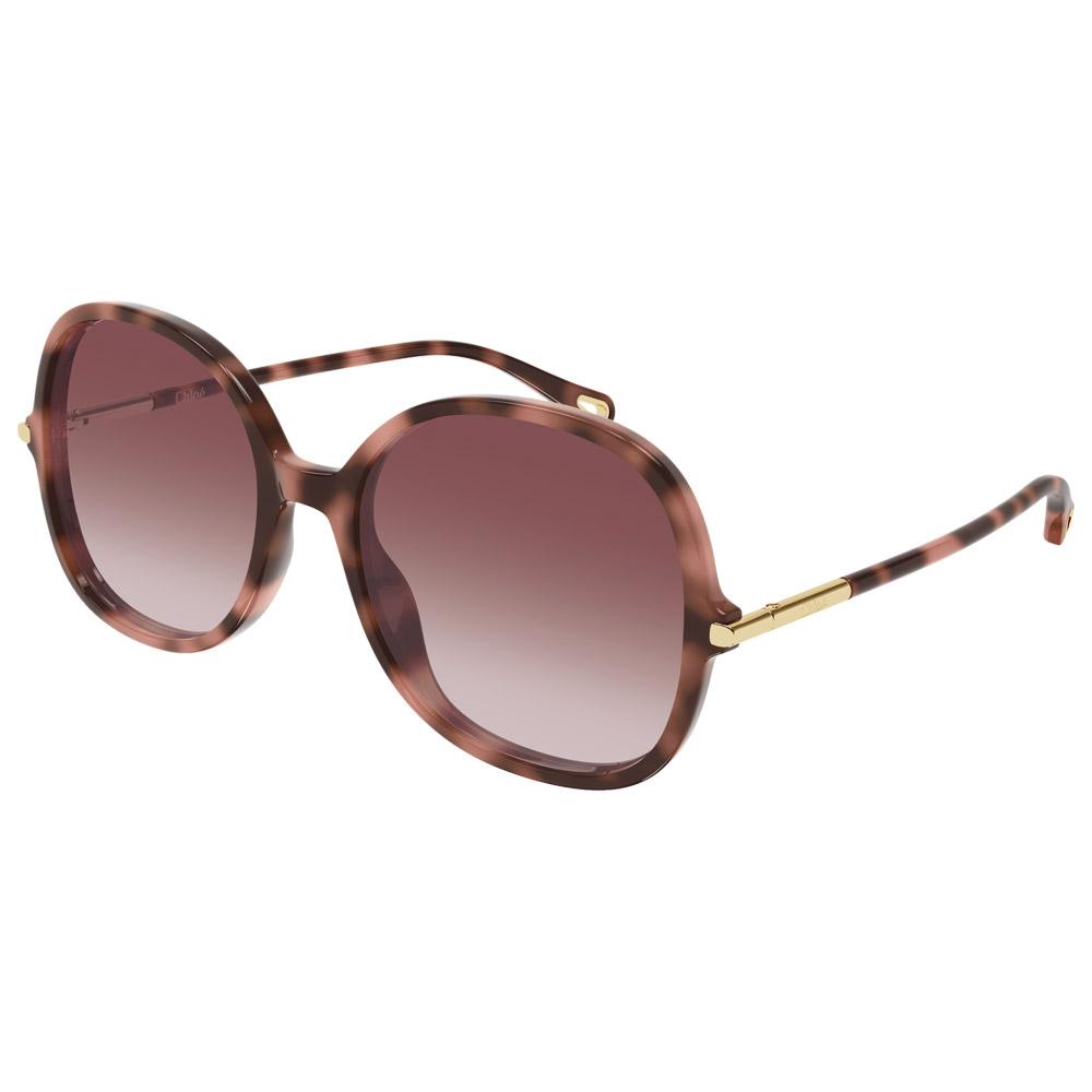 Chloé - CH0383S 004 Havana - Sonnenbrille