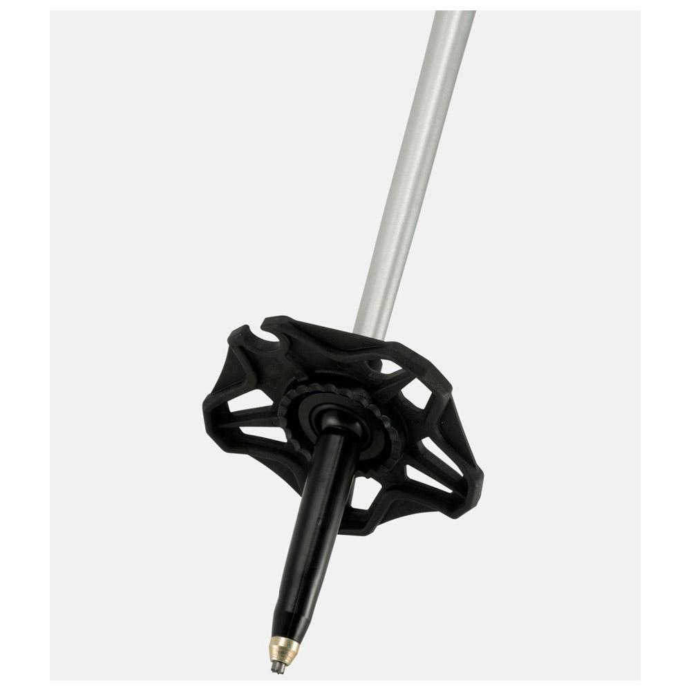 Jones Poles Talon - Winter 2025 | Glisshop