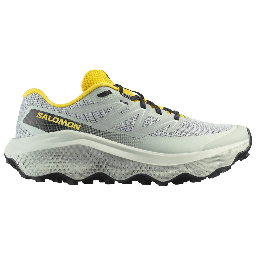 Salomon - Ultra Flow 2 Wrought Iron Metal Incaberry - 10 - Trail shoes