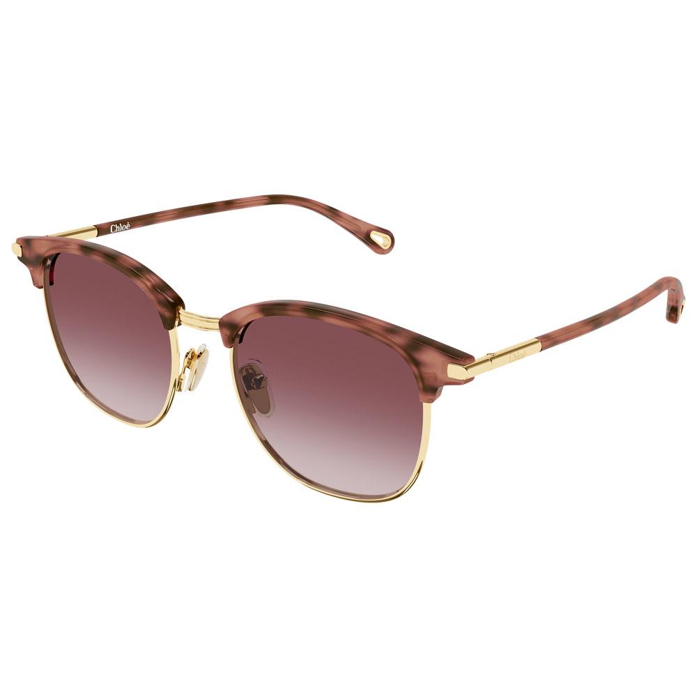 Chloé - CH0384S 004 Gold Tortoise - Sunglasses