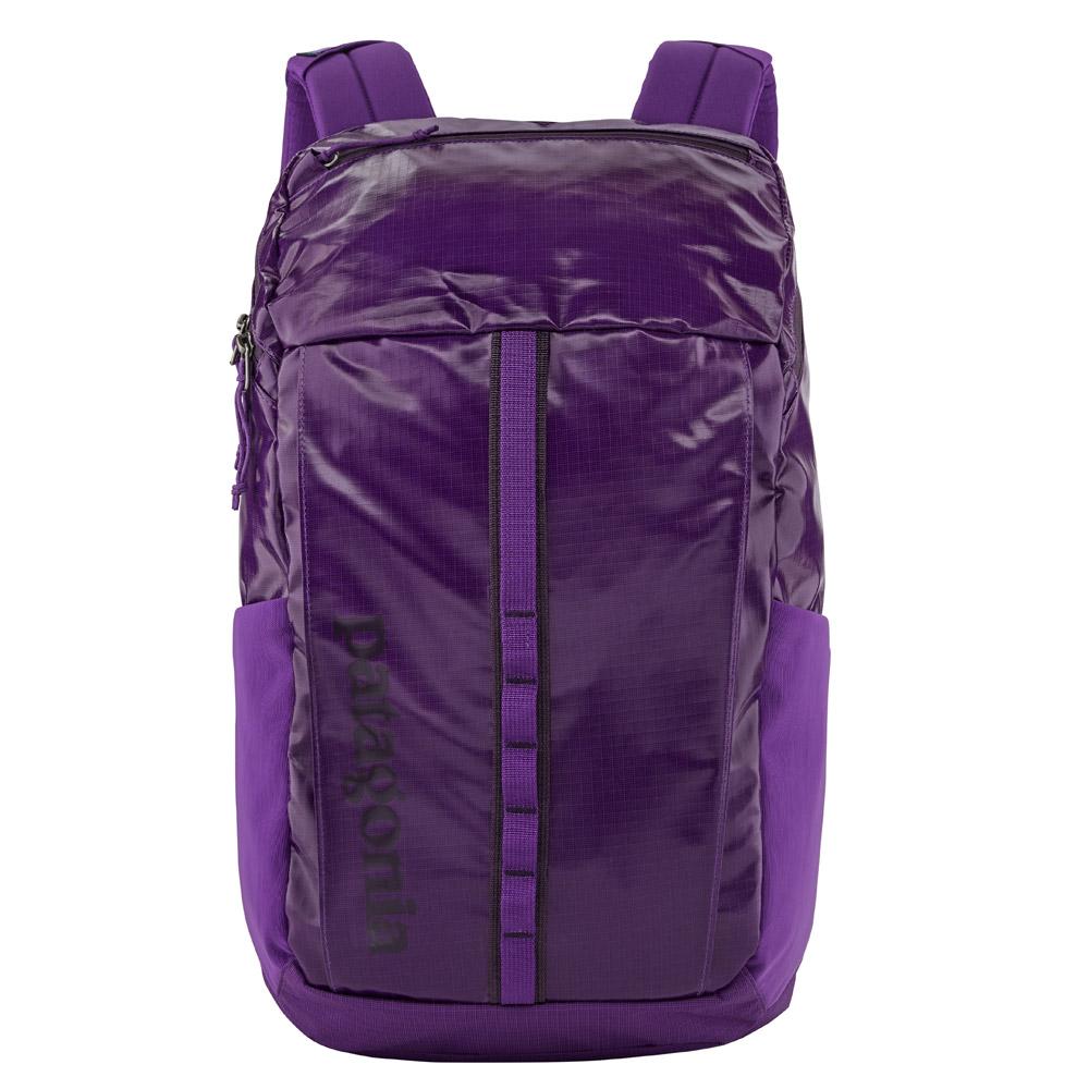 patagonia backpack purple