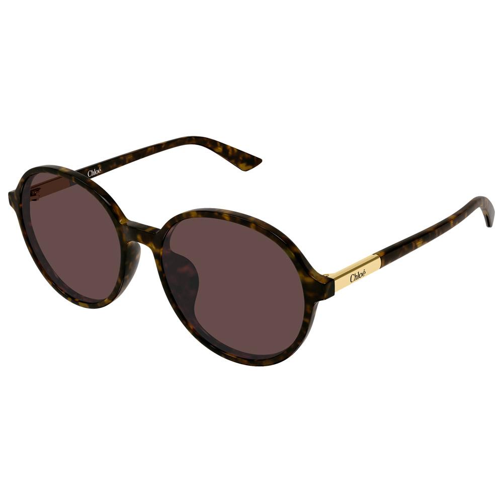 Chloé - CH0365SK 002 Havana - Sonnenbrille