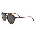Binocle Eyewear Sunglasses Melbourne Shiny Tortoise Grey Polarized Overview