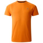 DARE2B Camiseta de trekking Accelerate Tee Buckskin Presentación
