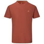 DARE2B Wandel T-shirt Agile Arabian Spice Voorstelling