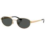 Ray Ban Occhiali da sole RB3774D Polished Gold Dark Grey Presentazione