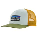 Patagonia Berretto P-6 Logo Trucker Hat Wispy Green Presentazione