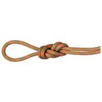 Mammut Corde 8.0 Alpine Dry Rope Boa Vibrant Orange Presentazione