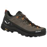 Salewa Aanloopschoenen Alp Trainer 2 Gore-Tex Bungee Cord Black Voorstelling
