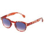 Izipizi Lunettes de soleil Sun #C Wild Hooves Purple Shading Polarized Présentation