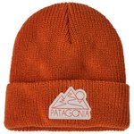 Patagonia Kid's Logo Beanie Z's and S's Redtail Rust 