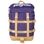 Jansport Rugzakken Mini Skip Pack 10L Amethyst Angst Voorstelling