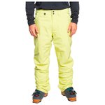 Quiksilver Ski pants Estate Celery Green Overview