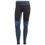 Adidas Trail pants Agravic Tights W Wonder Steel Overview