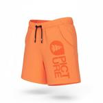 Picture Pantaloncini Basement Shorts Dusty Orange Presentazione