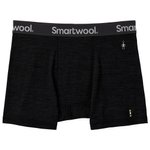 Smartwool Boxer briefs Overview