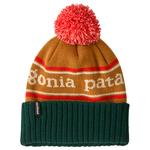 Patagonia Beanies Kid's Powder Town Beanie Park Stripe Talon Gold Overview