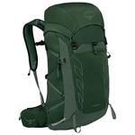 Osprey Zaino Talon 33 Green Canopy Pine Leaf Presentazione