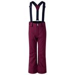 DARE2B Skihose Outmove II Fig Präsentation