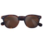 Moken Vision Sunglasses Woody Tortoise Cork Brown Polarized Overview