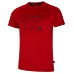 DARE2B Wander-T-Shirt Tech Tee Tuscan Red Präsentation