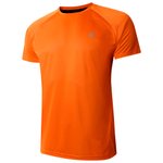 DARE2B Camiseta de trekking Accelerate Tee Spicy Route Presentación