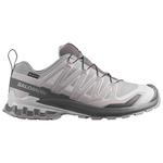 Salomon Xa Pro 3D V9 Gore-Tex Alloy Castlerock Lunar Rock 