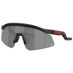 Oakley Sunglasses Hydra FQ Matte Black Prizm Black Overview