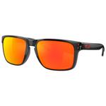 Oakley Zonnebrillen Holbrook XL Black Ink Prizm Ruby Polarized Voorstelling