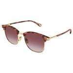 Chloé Lunettes de soleil CH0384S 004 Gold Tortoise Présentation