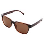 Red Bull Spect Sunglasses Cary Havanna-Brown Overview
