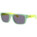 Oakley Gafas Holbrook Xxs Transparent Jade Prizm Grey Presentación