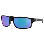Oakley Sunglasses GIBSTON MATTE BLACK 944912 Overview
