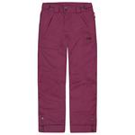 Picture Ski pants Time Pants Purple Potion Overview