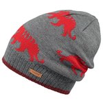 Barts Beanies Thorn Beanie Red Overview